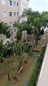 Apartamento - Campinas