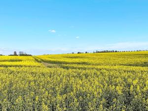 4 star holiday home in BÅSTAD-By Traum