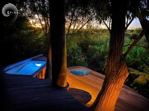 Spiral Living Bridge - Hanging House, Natural Design