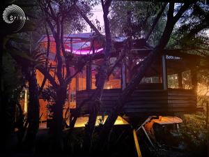 Spiral Living Bridge - Hanging House, Natural Design