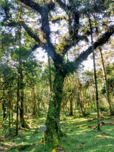 Quinta da Soliran Chalés Rural