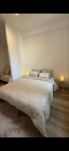 Appartement Le Joffre-calme-lumineux