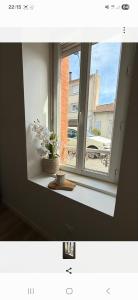 Appartement Le Joffre-calme-lumineux