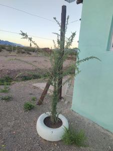 Casa ecológica Puesta del Sol