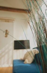 Stylish Central Apt-Private Access, shops, character