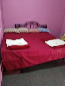 Chaithnya farm house