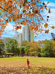 Ecopark Swanlake Mori Onsen by ATV
