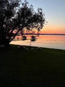Spacious 4-Season Cabin with Lakefront Views in Silver Sands