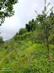 Diksha Farm Homestay