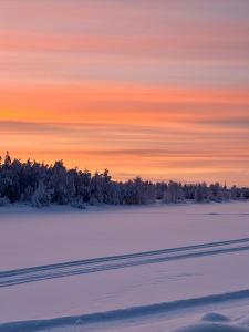 Authentic Log Cottage with Hot Tub