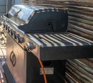 Seagull44 Melkbosstrand