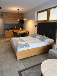 Apartament TATRA SKY z widokiem na góry - klimatyzacja i parking w cenie