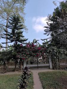 "Dulce Hogar" homestay