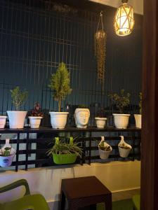 Kartikey Home Stay