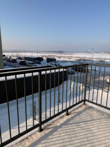 Modern Zauniaus Studio