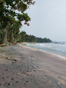 Binu Home stay