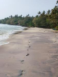 Binu Home stay