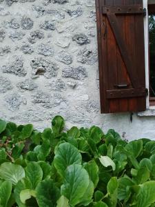 Les Gîtes de La Moure Basse