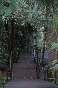 Peaceful Stream Coffee - Homestay