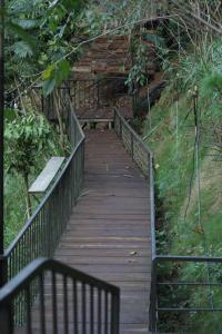 Peaceful Stream Coffee - Homestay