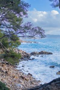 Studio Duplex Bandol Vue Mer Terrasse & Parking