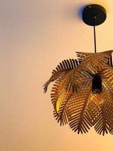 Homestay Flaminia Roma nord