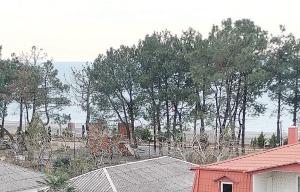 Квартира возле стадиона