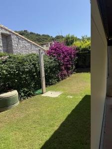 Home Nicola Jago img8