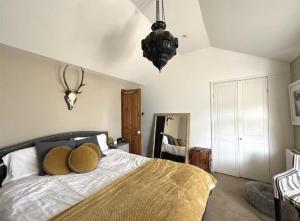 Central Cute Garden Cottage Close to Town & Beach