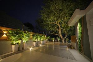 "Earthy Couple Retreat Near Taj Mahal"