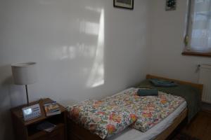 Különálló ház, ősfás, meditációra alkalmas kertben, saját kocsibeállóval