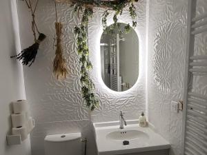 Lécrin de Nature T2 Centre Historique