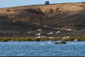 Ksar merzouga luxury camp