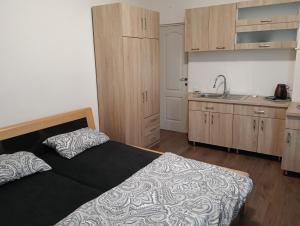 Central garsoniera ap 3