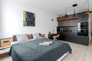 Budapest Spirit Apartments with FREE PARKING