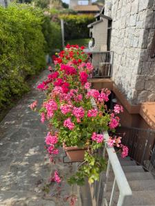 Home Nicola Jago img11