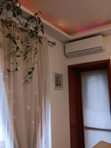 YOUR comfortable and luxury home in Florence