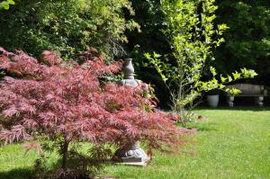 B&B / Chambres d'hotes Manoir des Lions de Tourgeville : photos des chambres