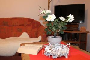 Zwischen Meer und Bodden Zwischen Meer udn Bodden App 06