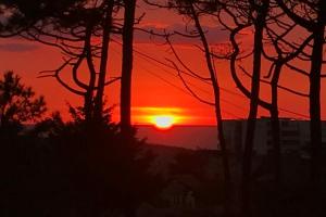 la cabane de la plage