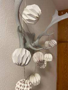 Lichtblick unter der Buche