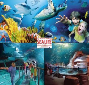 Family Home, Disney Sauna & SPA