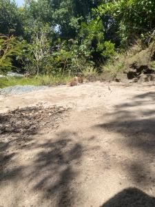Casa Viva na Natureza com Rio privado