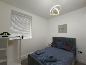 Ground Floor 2BR in Cardiff Central near Stadiums