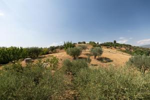 Tenuta Colle Sala The Villa