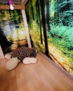 Relaxing nice view with wellness swimming pool and more