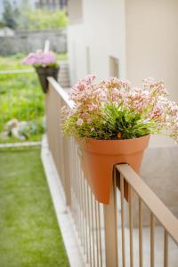 The Superior Green @ BoaVista Flats