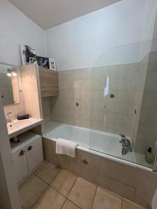 Le Petit Briand Arles centre