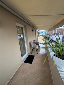 Wood & Light Apartment