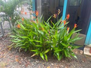 Cozy budget friendly stay